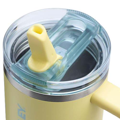 The Quencher Protour Flip Straw | 887 ML | POMELO